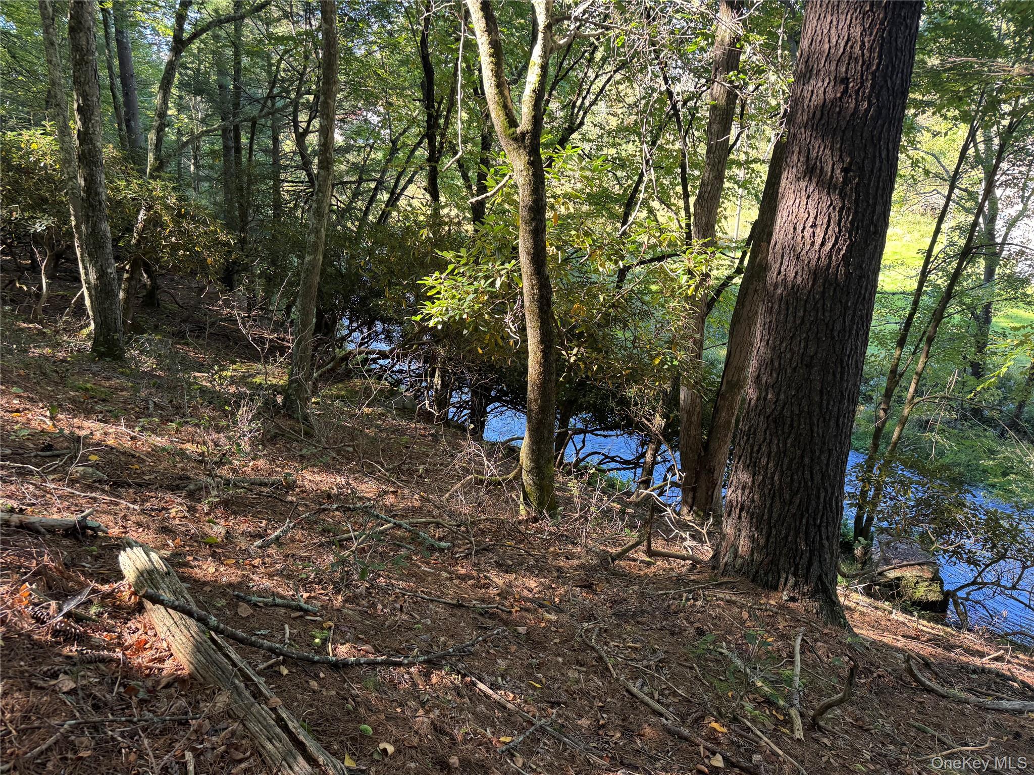 lot 1 Chapin Trail – For Sale photo 3