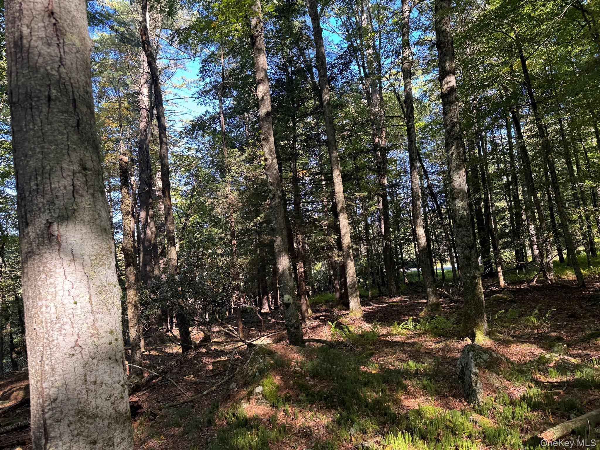 lot 1 Chapin Trail – For Sale photo 12