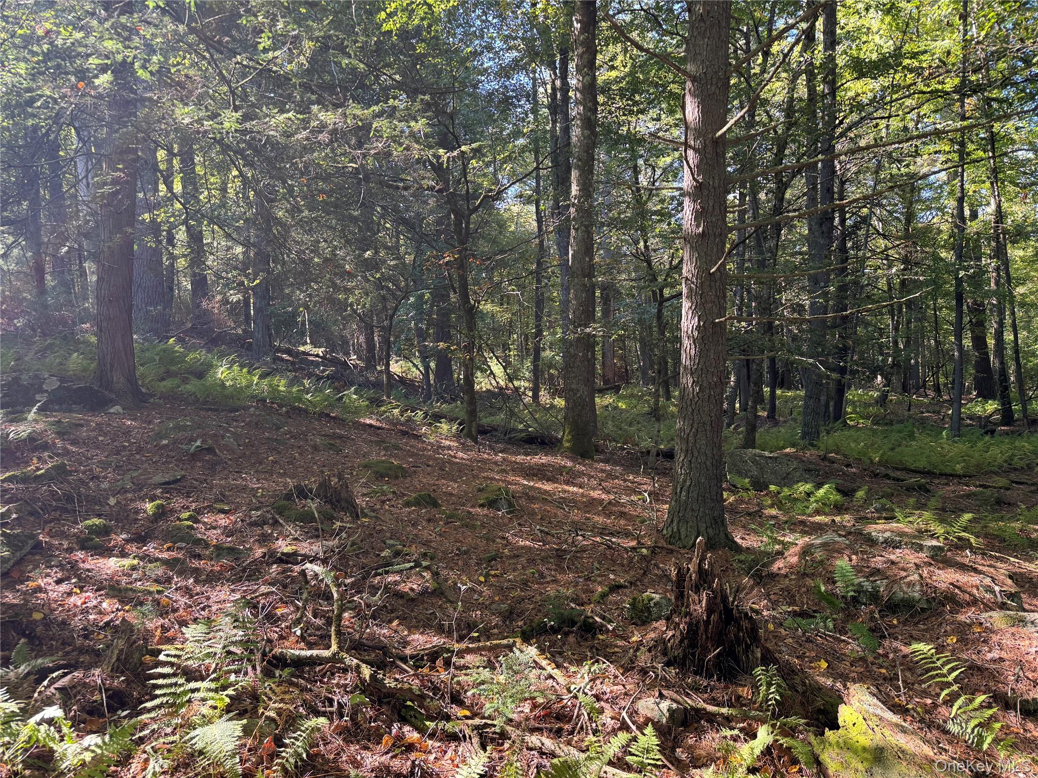 lot 1 Chapin Trail – For Sale photo 5
