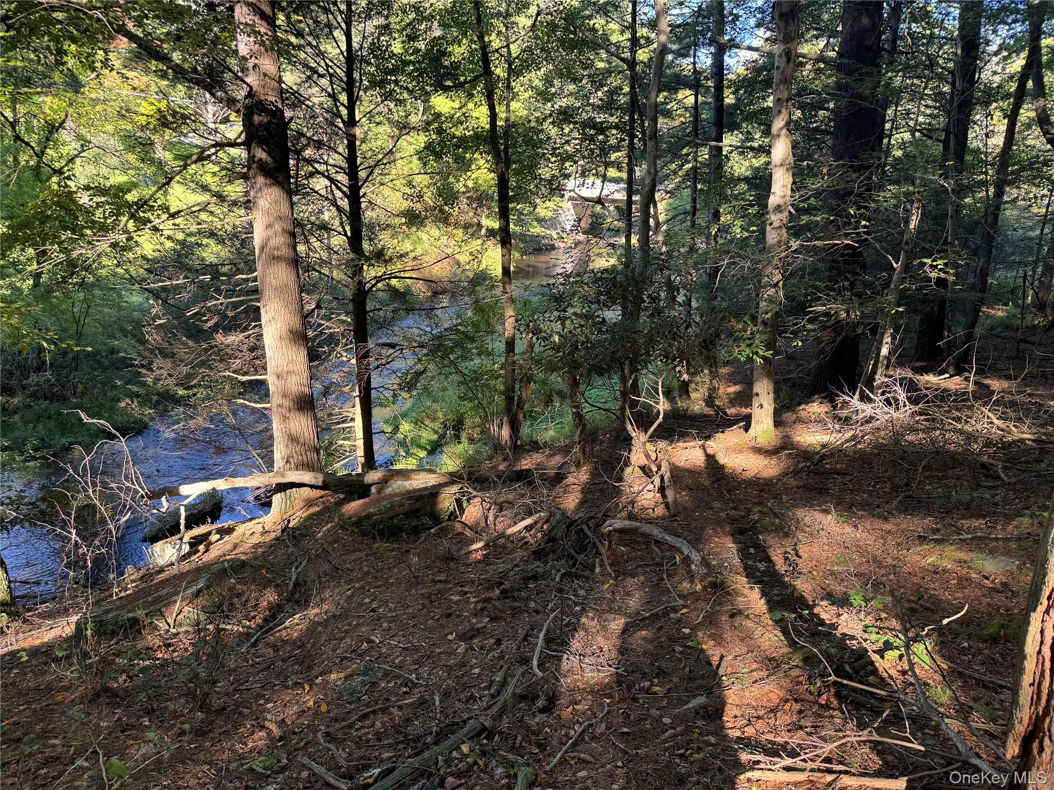 lot 1 Chapin Trail – For Sale photo 19