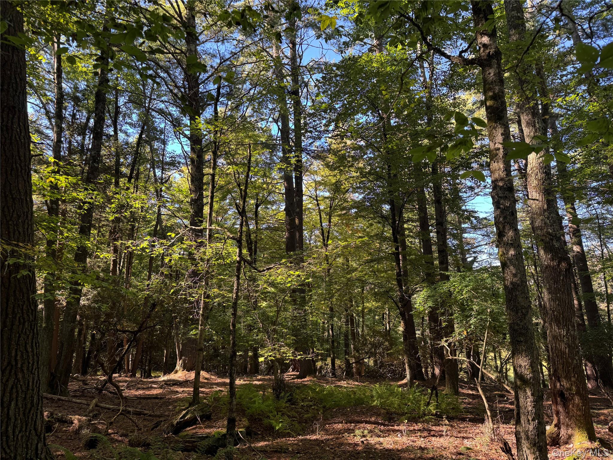 lot 1 Chapin Trail – For Sale photo 27