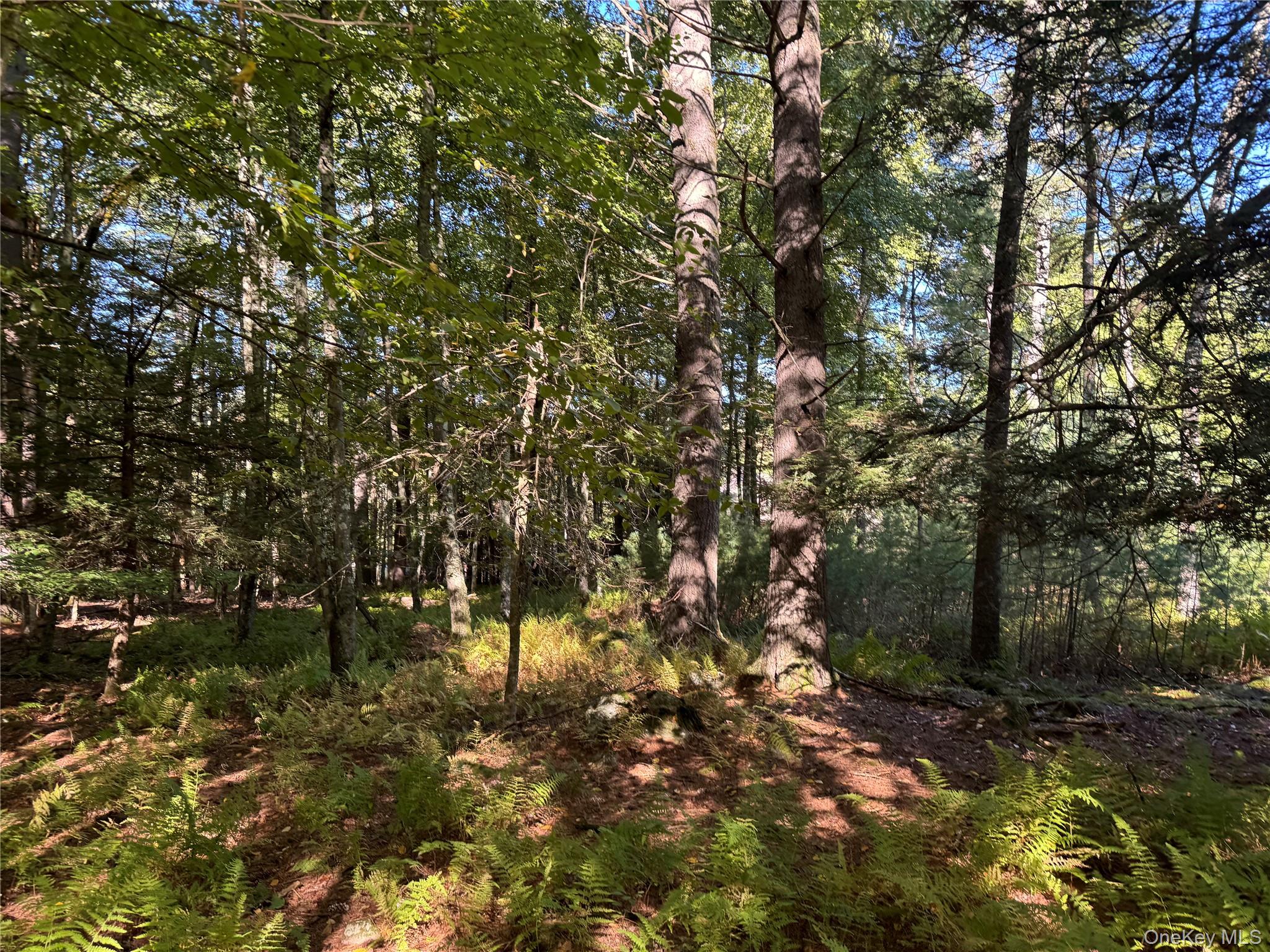 lot 1 Chapin Trail – For Sale photo 6