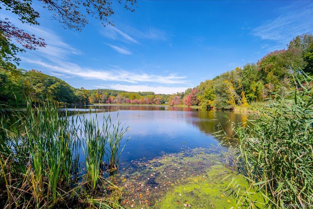 29 Dixon Lake Drive – For Sale photo 40