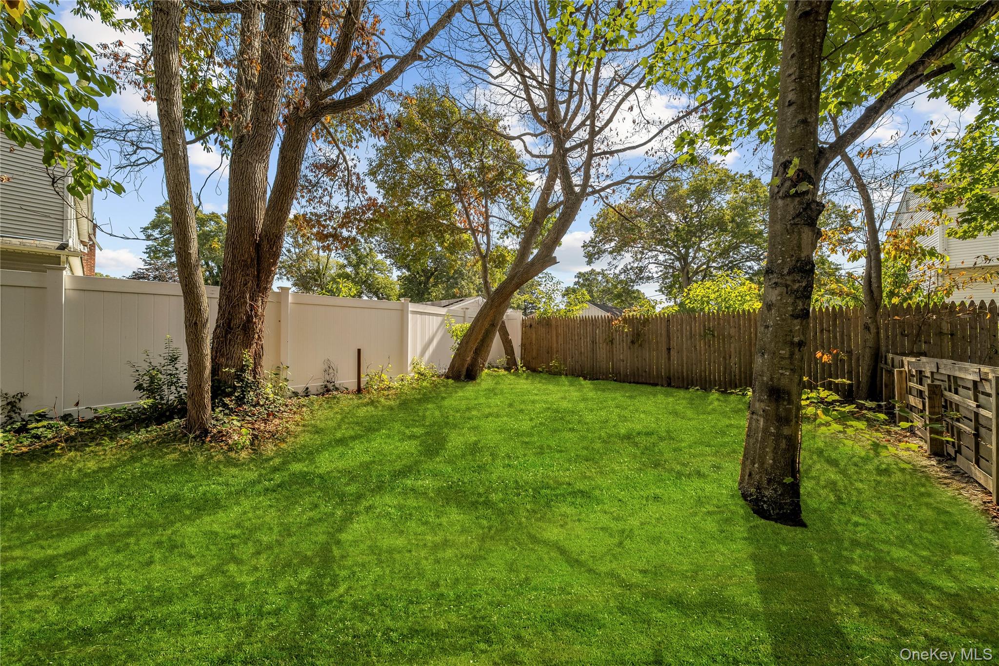 14 Mineola Street – For Sale photo 33