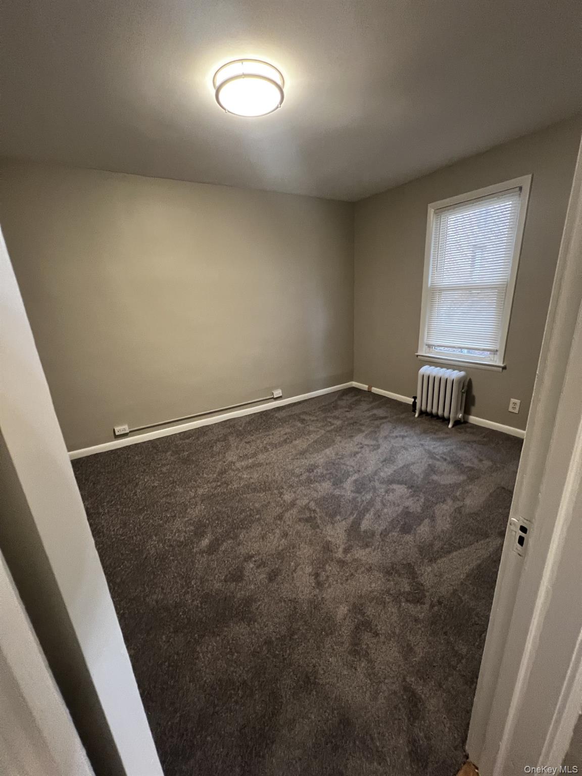 14 Minerva Place, Unit 6 photo 10