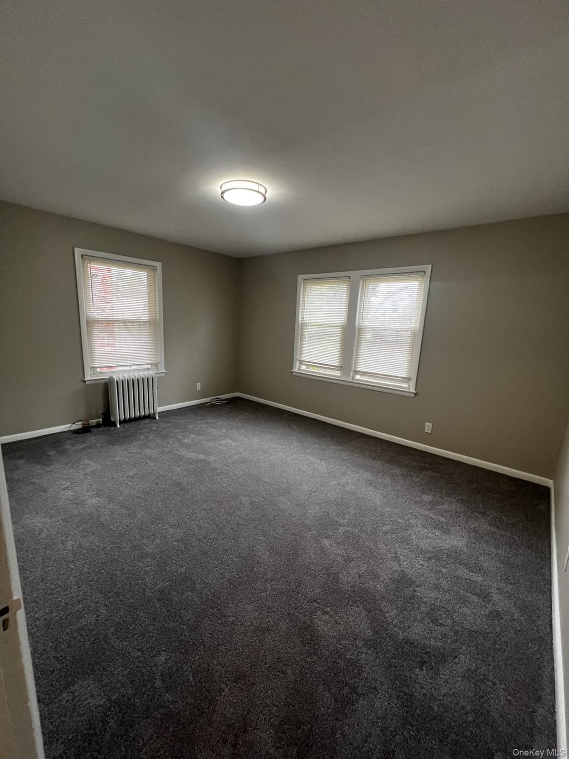 14 Minerva Place, Unit 6 photo 5