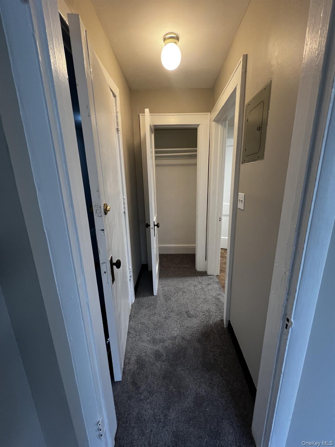14 Minerva Place, Unit 6 photo 6