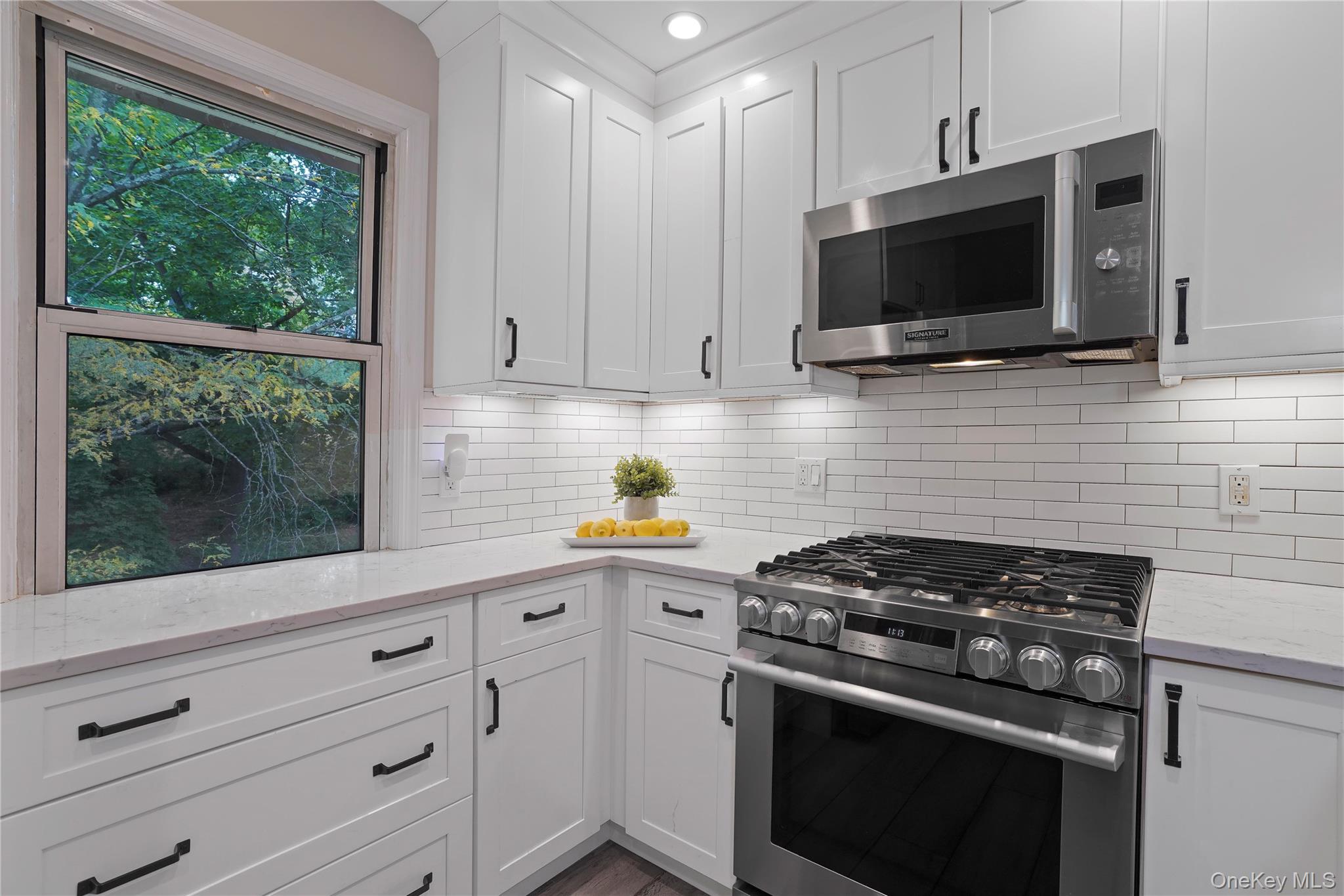 135 S Buckhout Street, Unit 135 photo 8