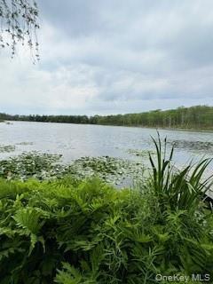 Gardner Drive – For Sale photo 5