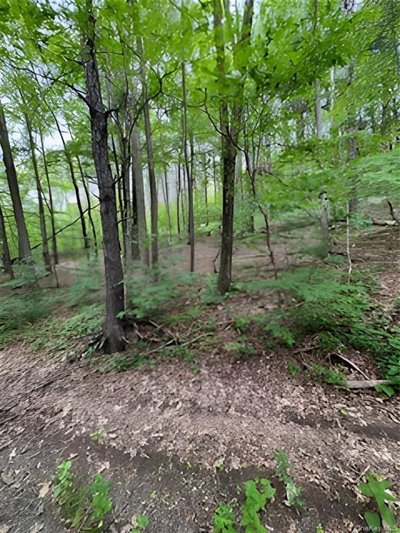 Gardner Drive – For Sale photo 3