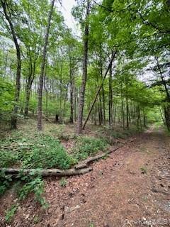 Gardner Drive – For Sale photo 6