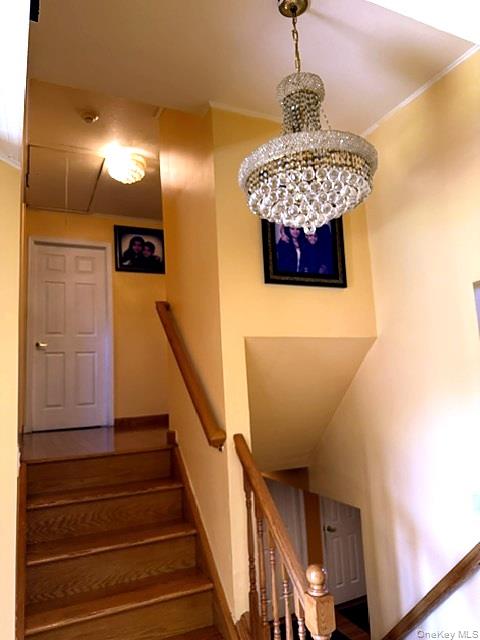 8 Debora Drive – For Sale photo 11