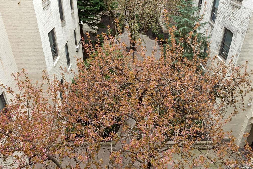 21-57 33rd Street, Unit 4D photo 11