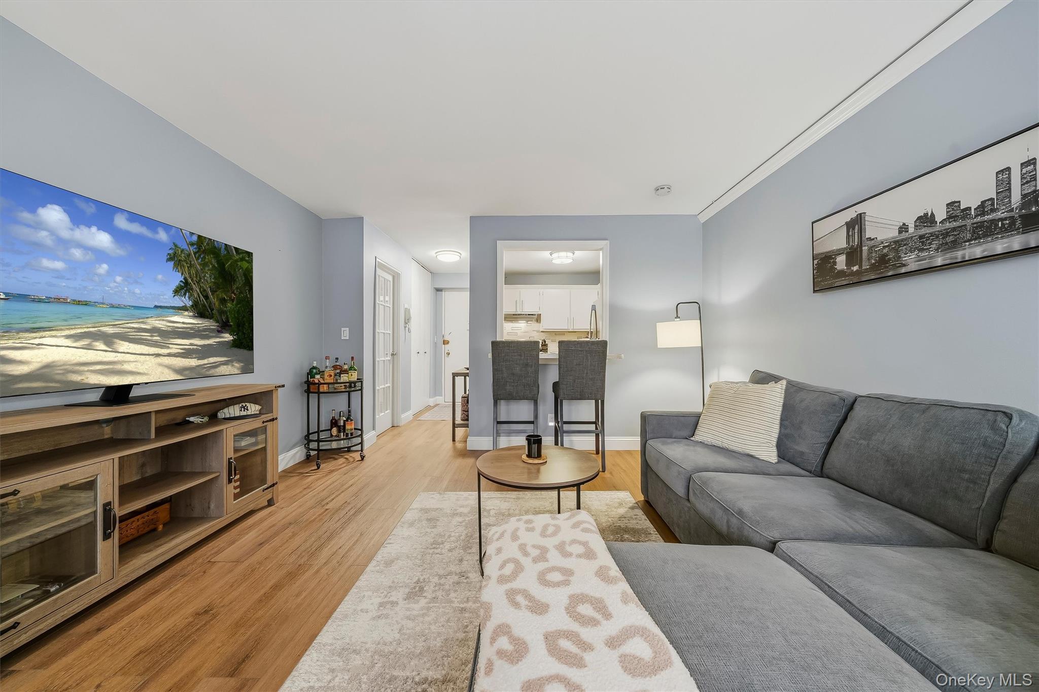 25 Franklin Avenue, Unit 3L photo 19