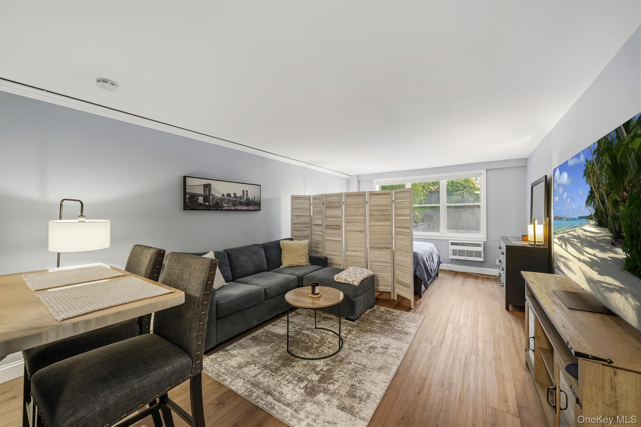 25 Franklin Avenue, Unit 3L photo 15