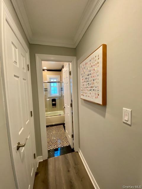 301-1 Robinson Avenue, Unit 301-1 photo 3