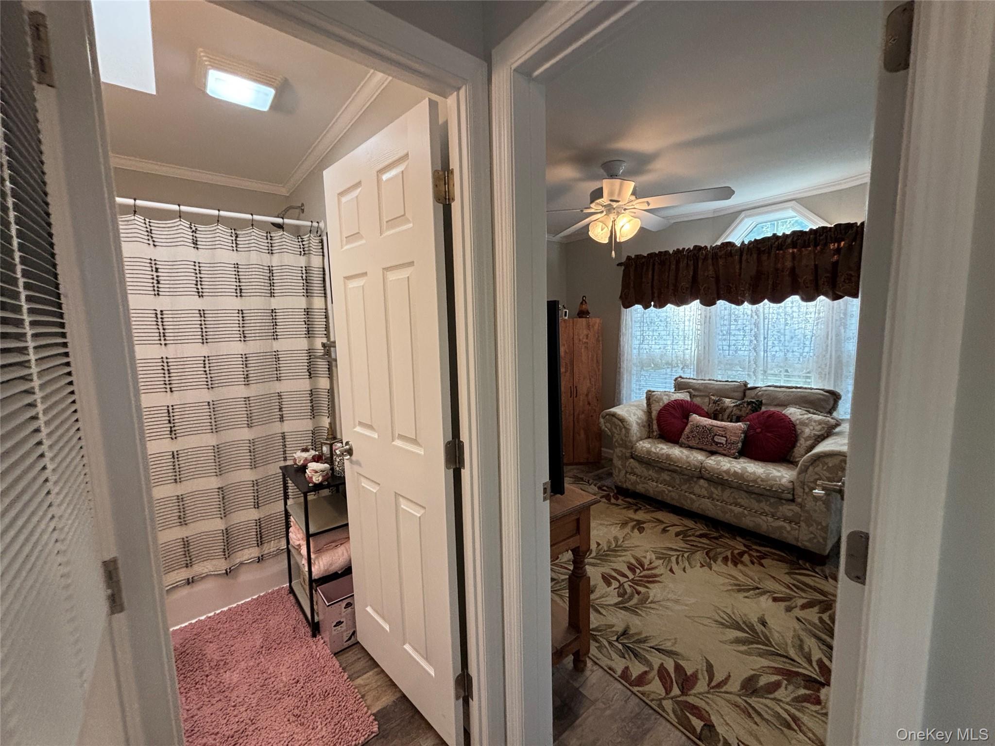 1661 Old Country Road, Unit 72 photo 30