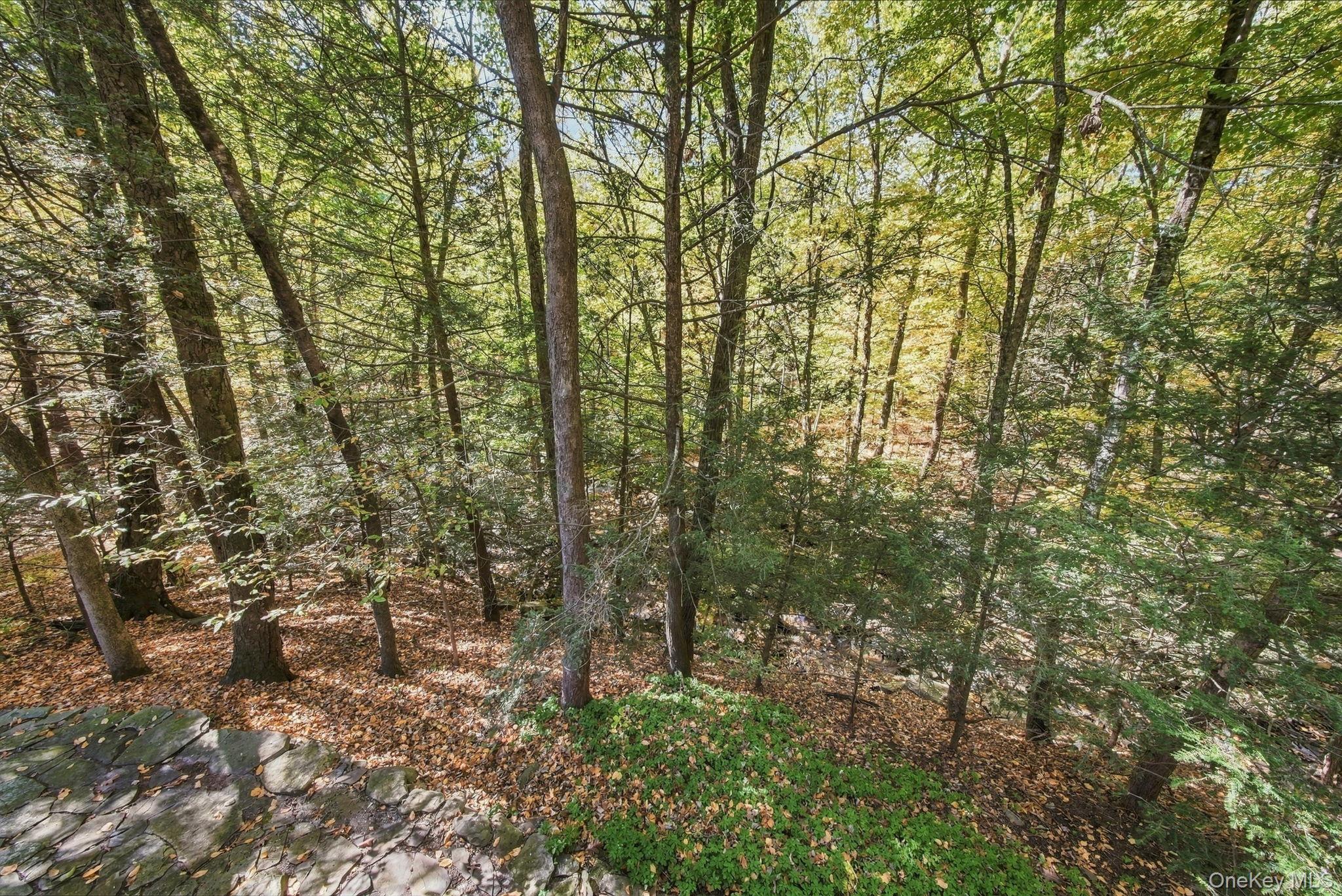19 Franke Road – For Sale photo 33