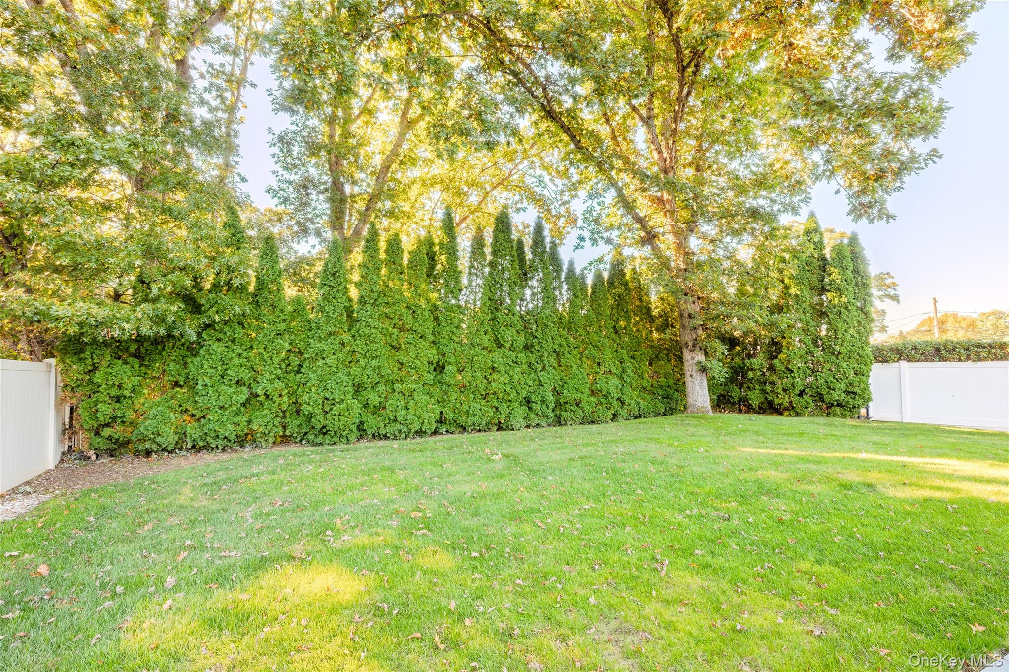 24 Kingswood Drive – For Sale photo 39