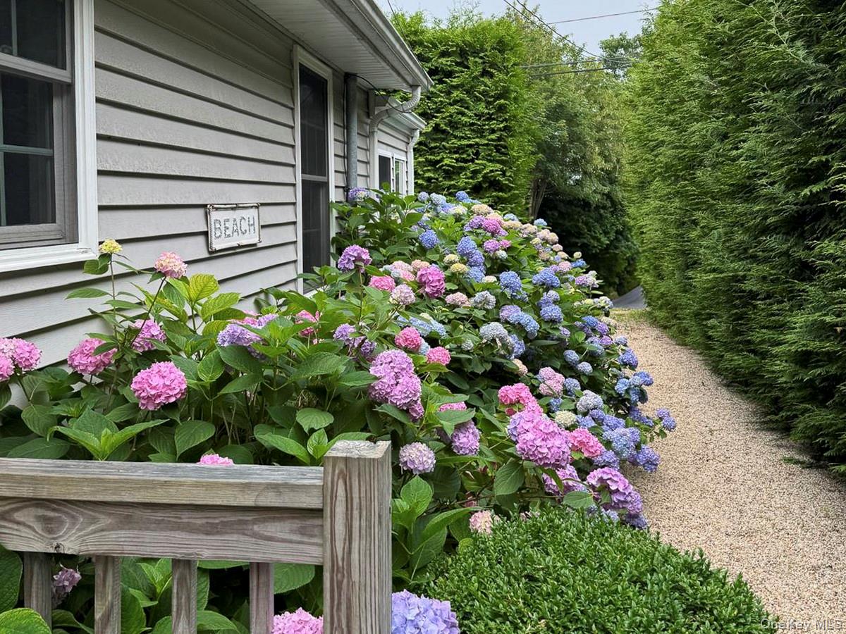 77 Hillcrest Avenue – For Rent photo 19