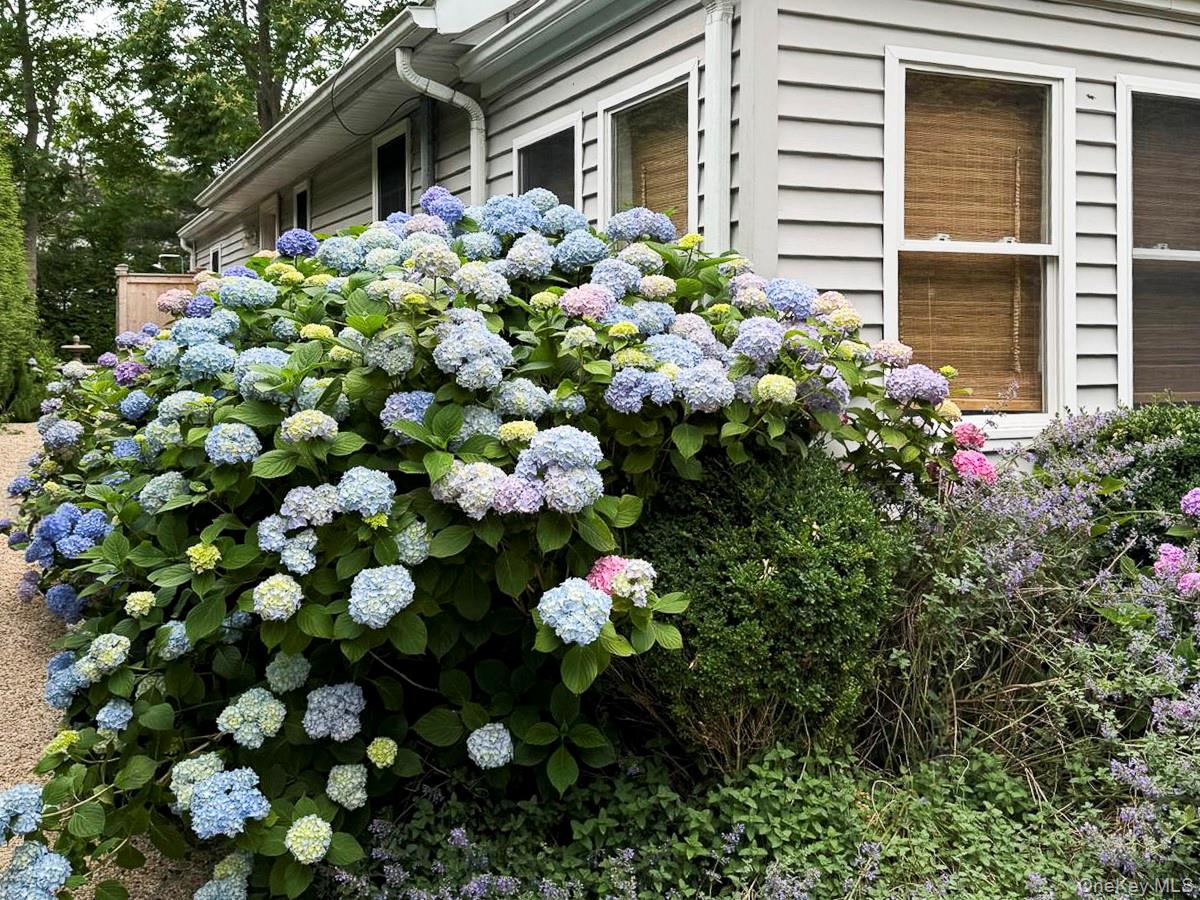 77 Hillcrest Avenue – For Rent photo 21