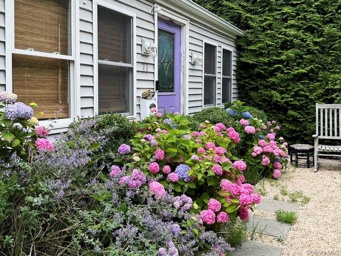 77 Hillcrest Avenue – For Rent photo 20