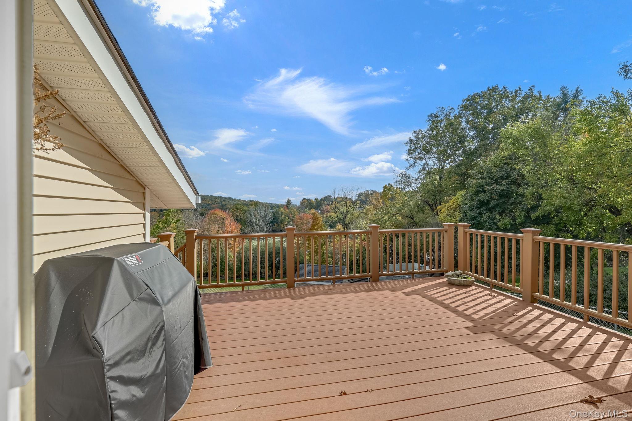 738 Ridgebury Road – For Sale photo 20