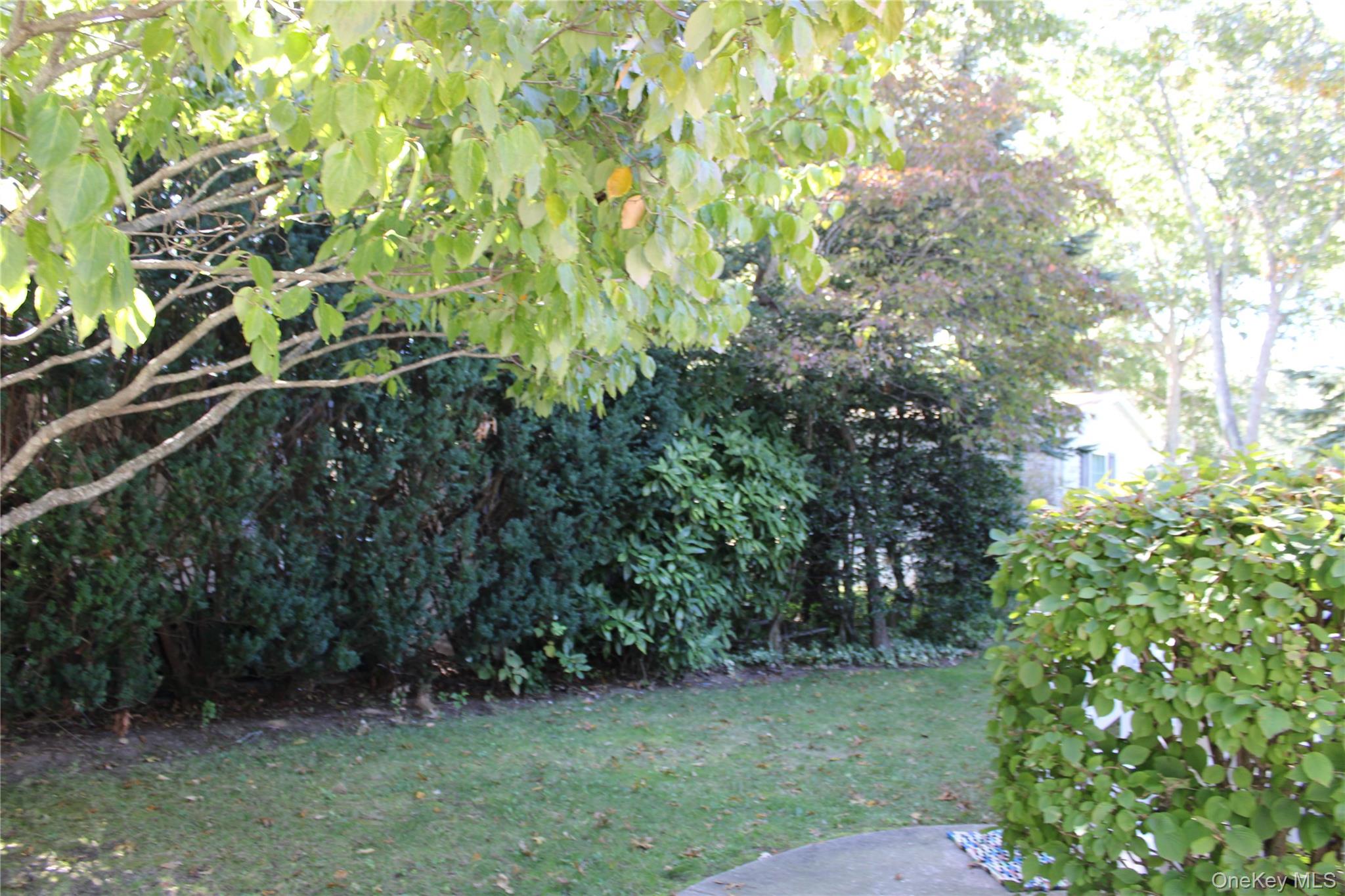 1661 Old Country Road, Unit 77 photo 8