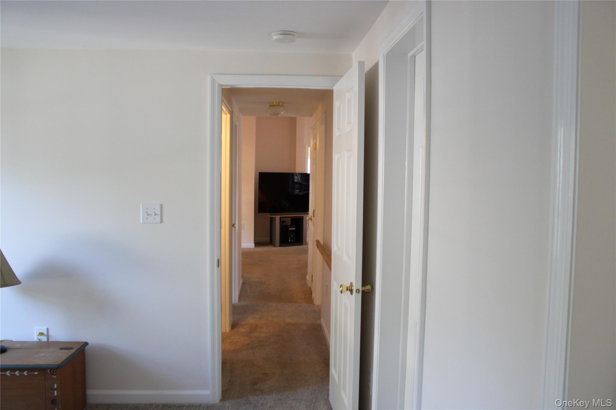 1661 Old Country Road, Unit 77 photo 25