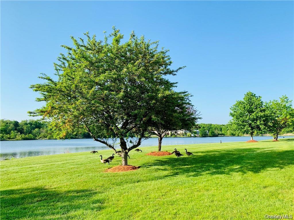 10 Kensington Way – For Rent photo 22