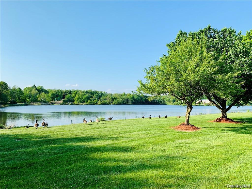 10 Kensington Way – For Rent photo 21