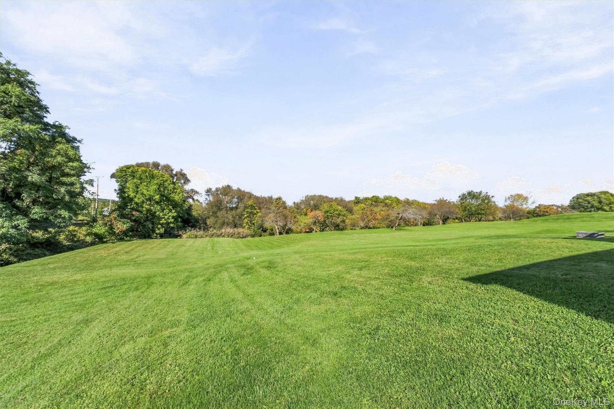 432 Willow Tree Road – For Sale photo 35