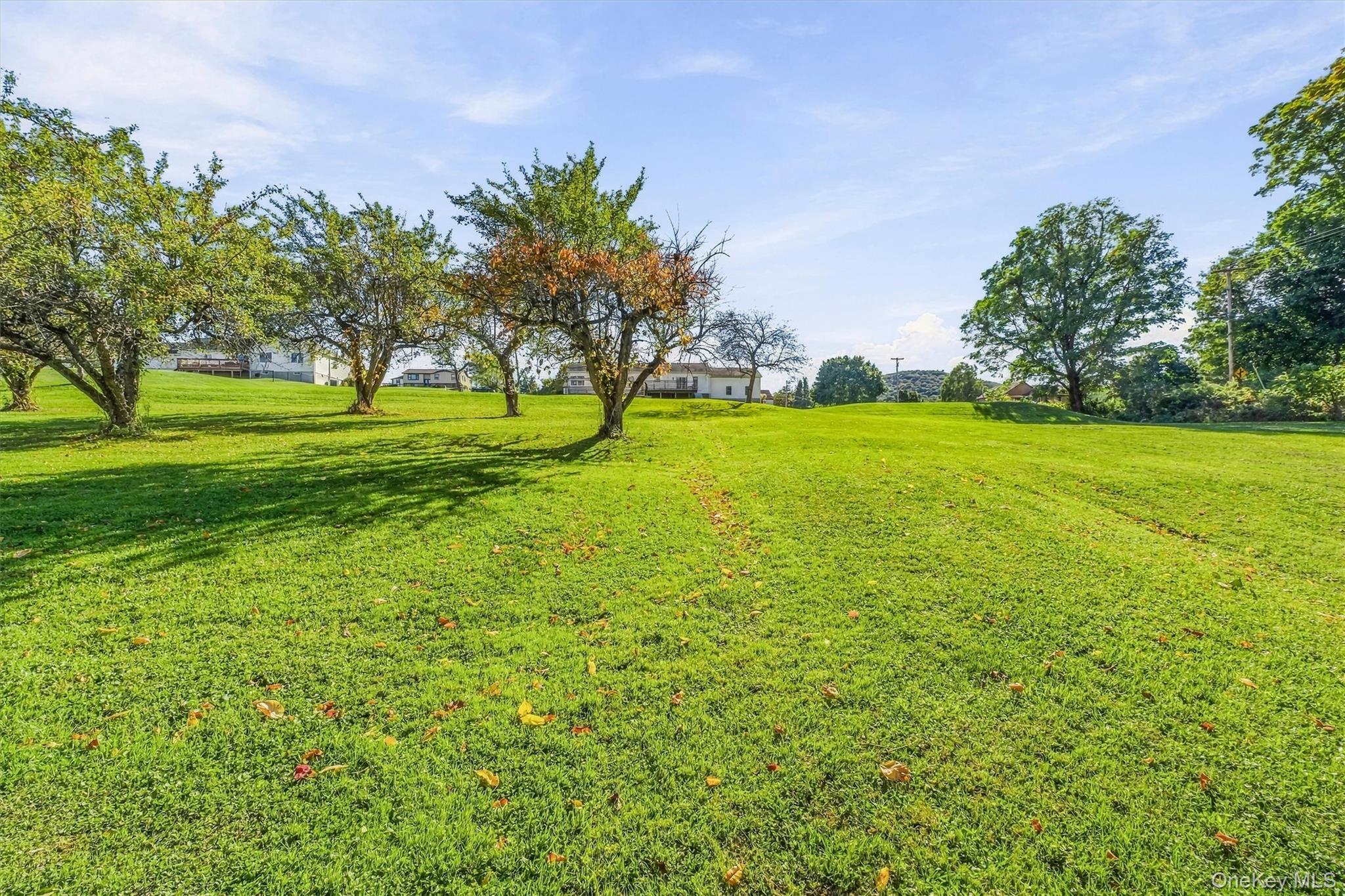 432 Willow Tree Road – For Sale photo 38