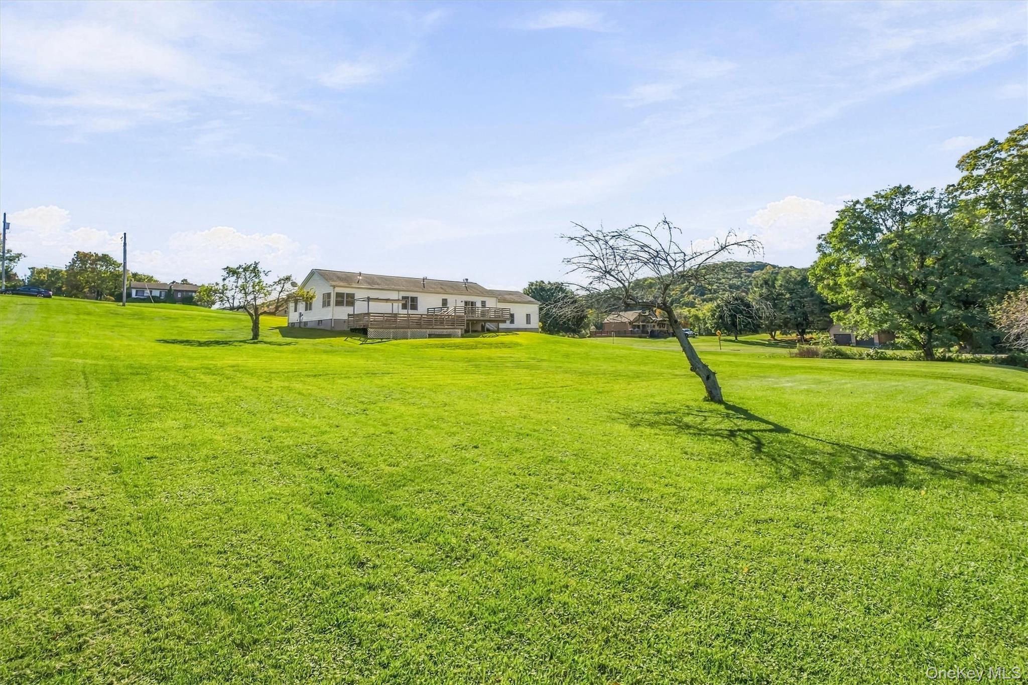 432 Willow Tree Road – For Sale photo 36