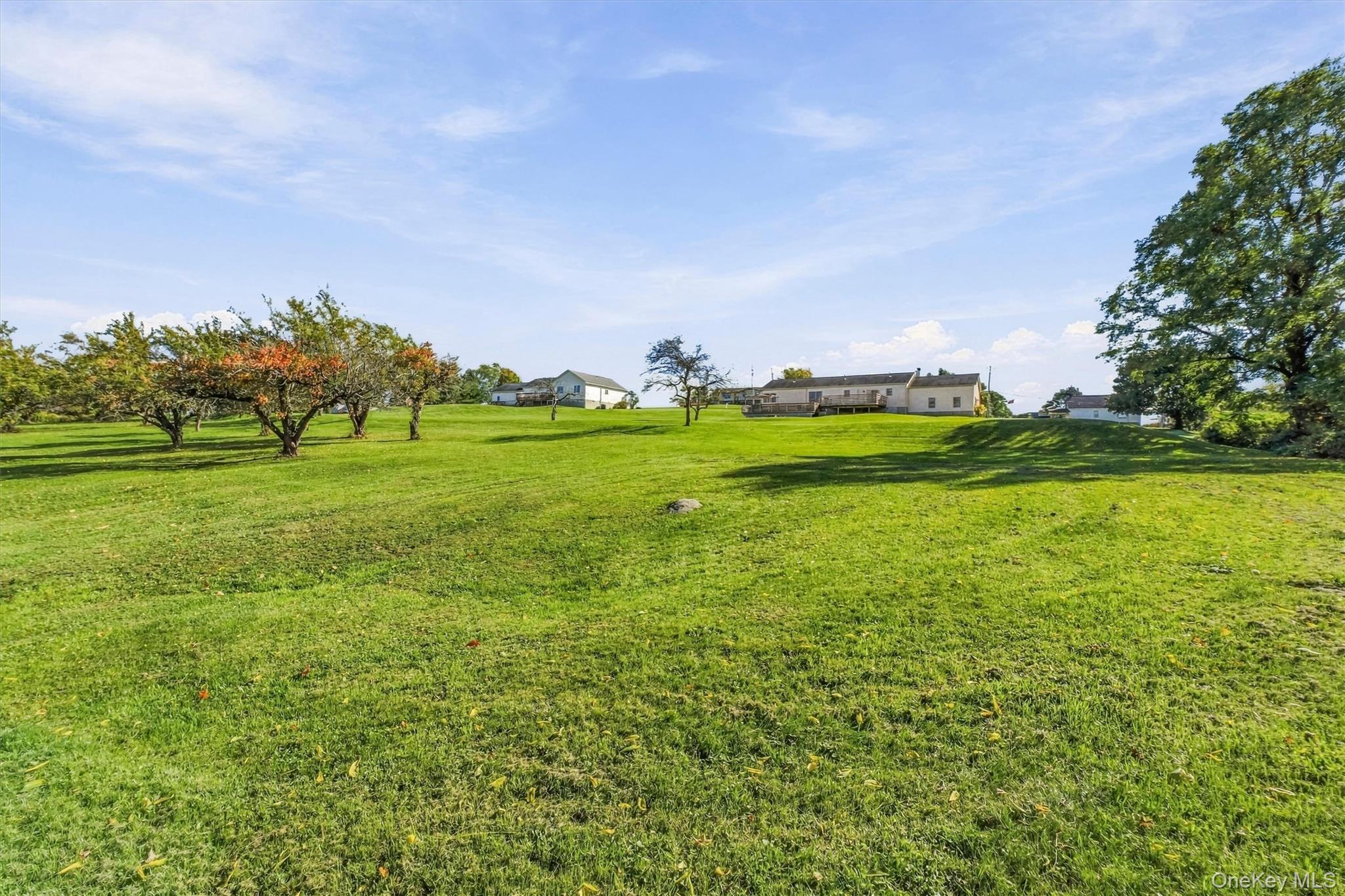 432 Willow Tree Road – For Sale photo 37