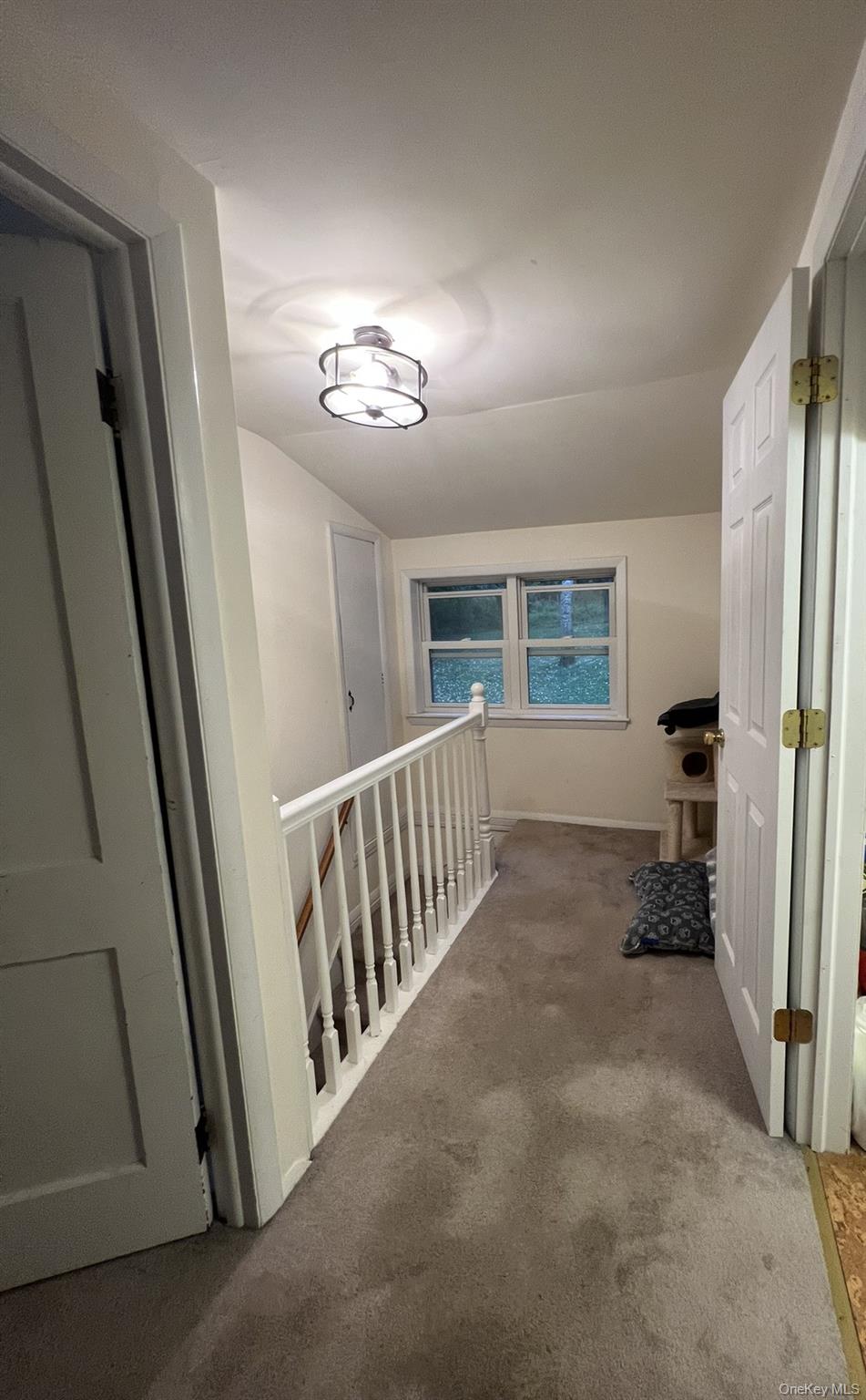 11 Amity Road – For Sale photo 2