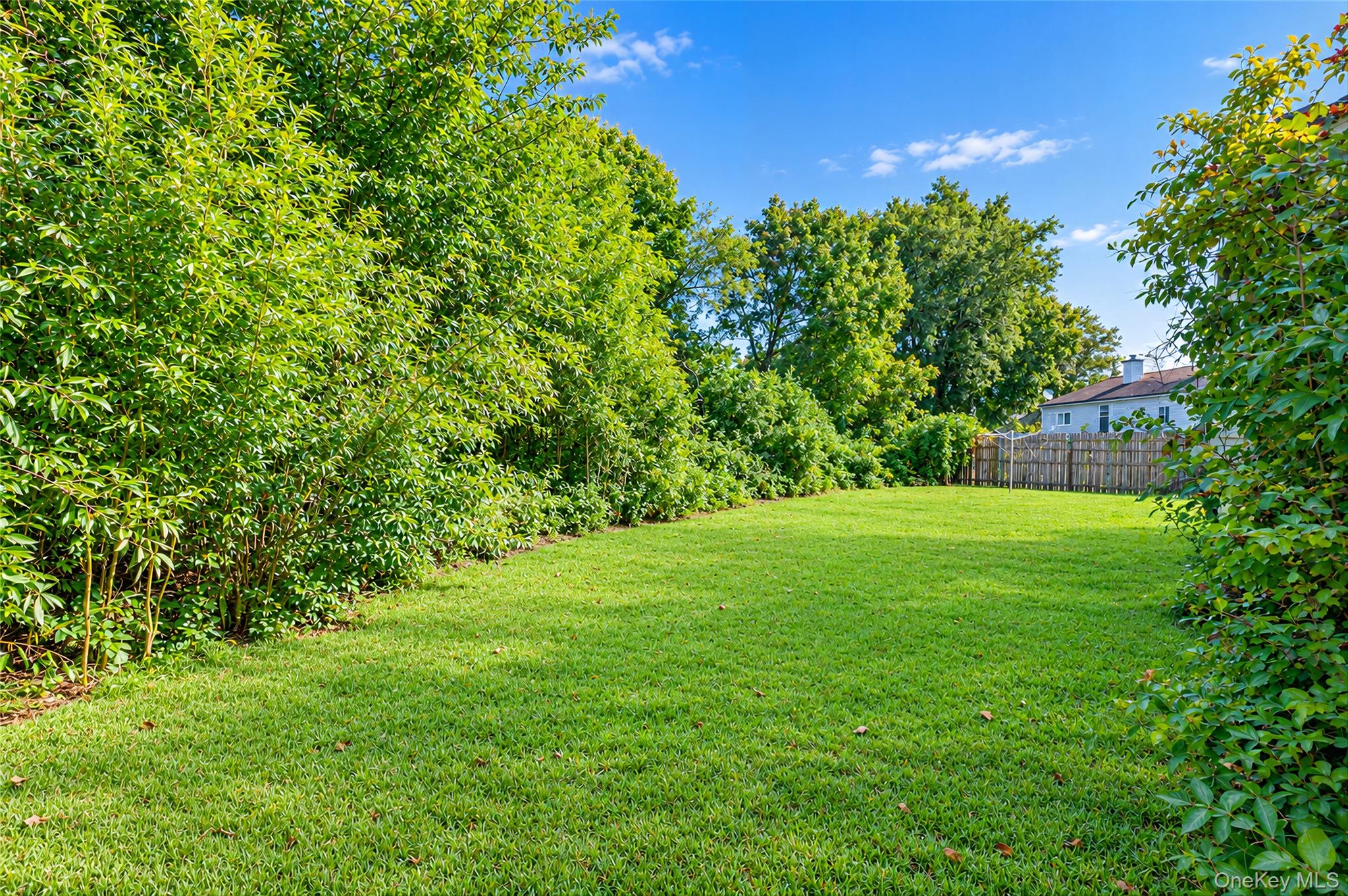 29 Walton Street – For Sale photo 4