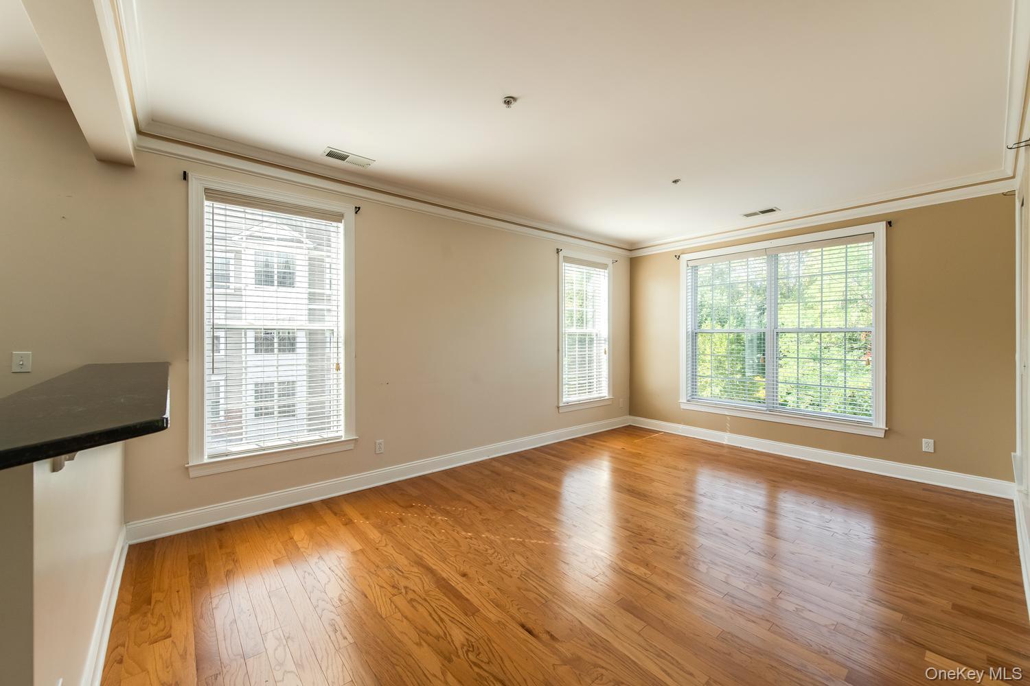 231 Regency Drive – For Sale photo 11