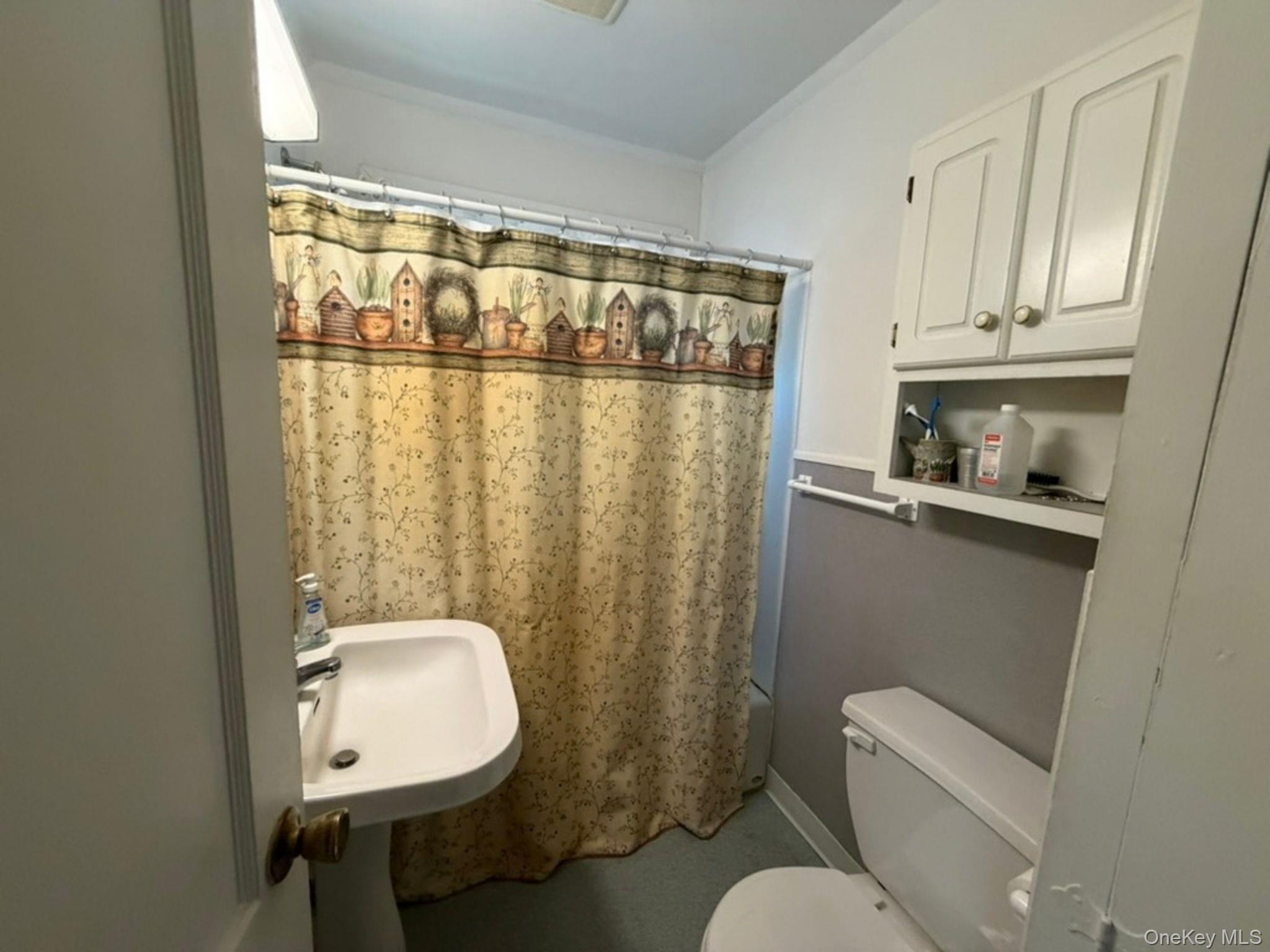 33 Roosevelt Avenue – For Sale photo 9