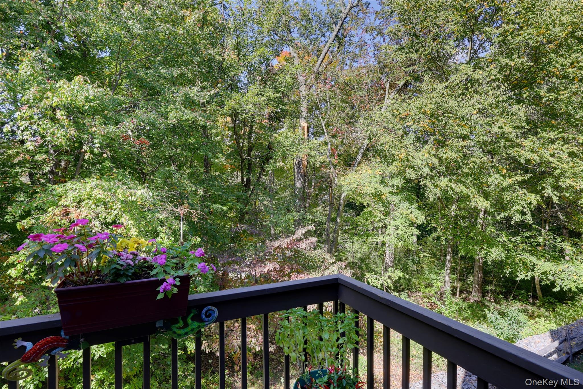 113 Woods Brooke Circle – For Sale photo 15