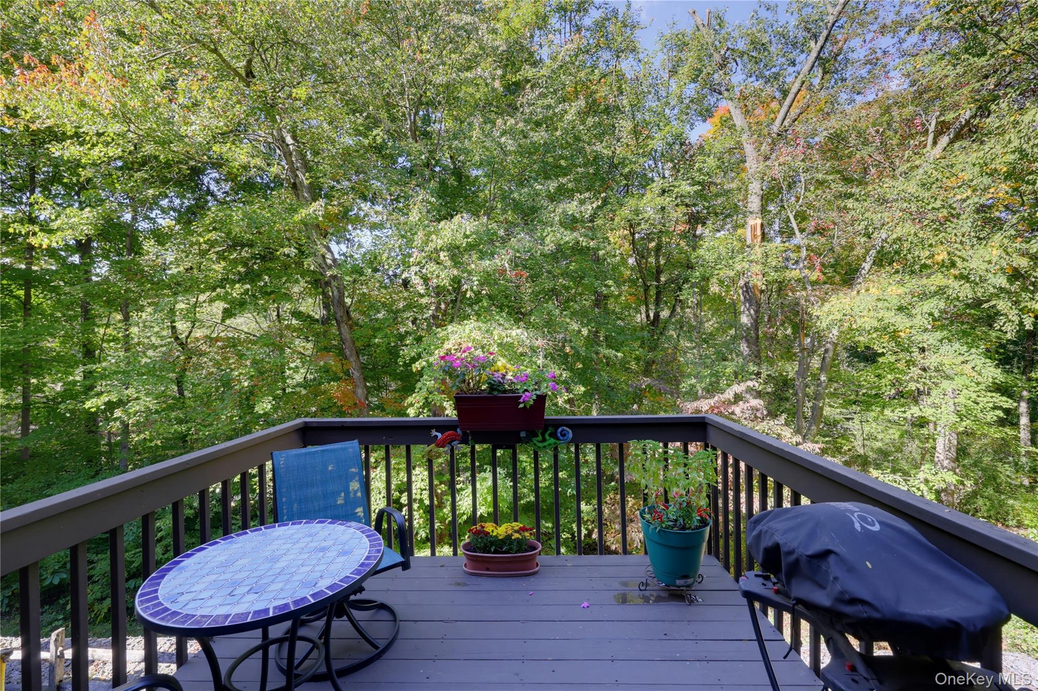 113 Woods Brooke Circle – For Sale photo 16