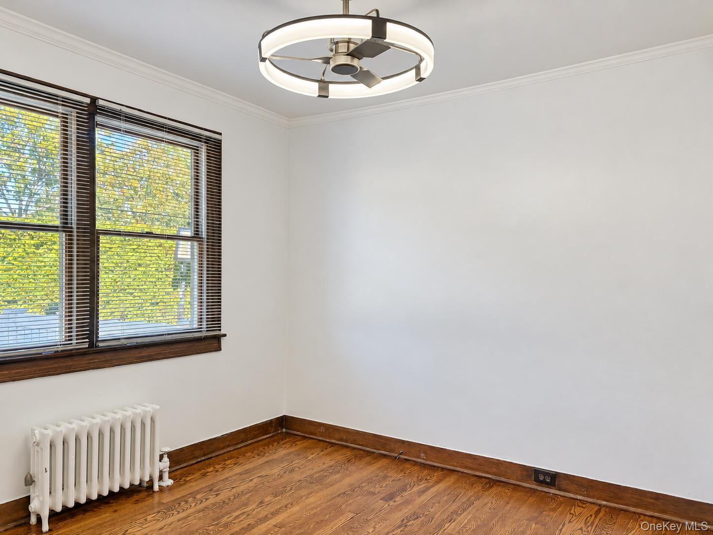 72 Primrose Avenue – For Rent photo 16