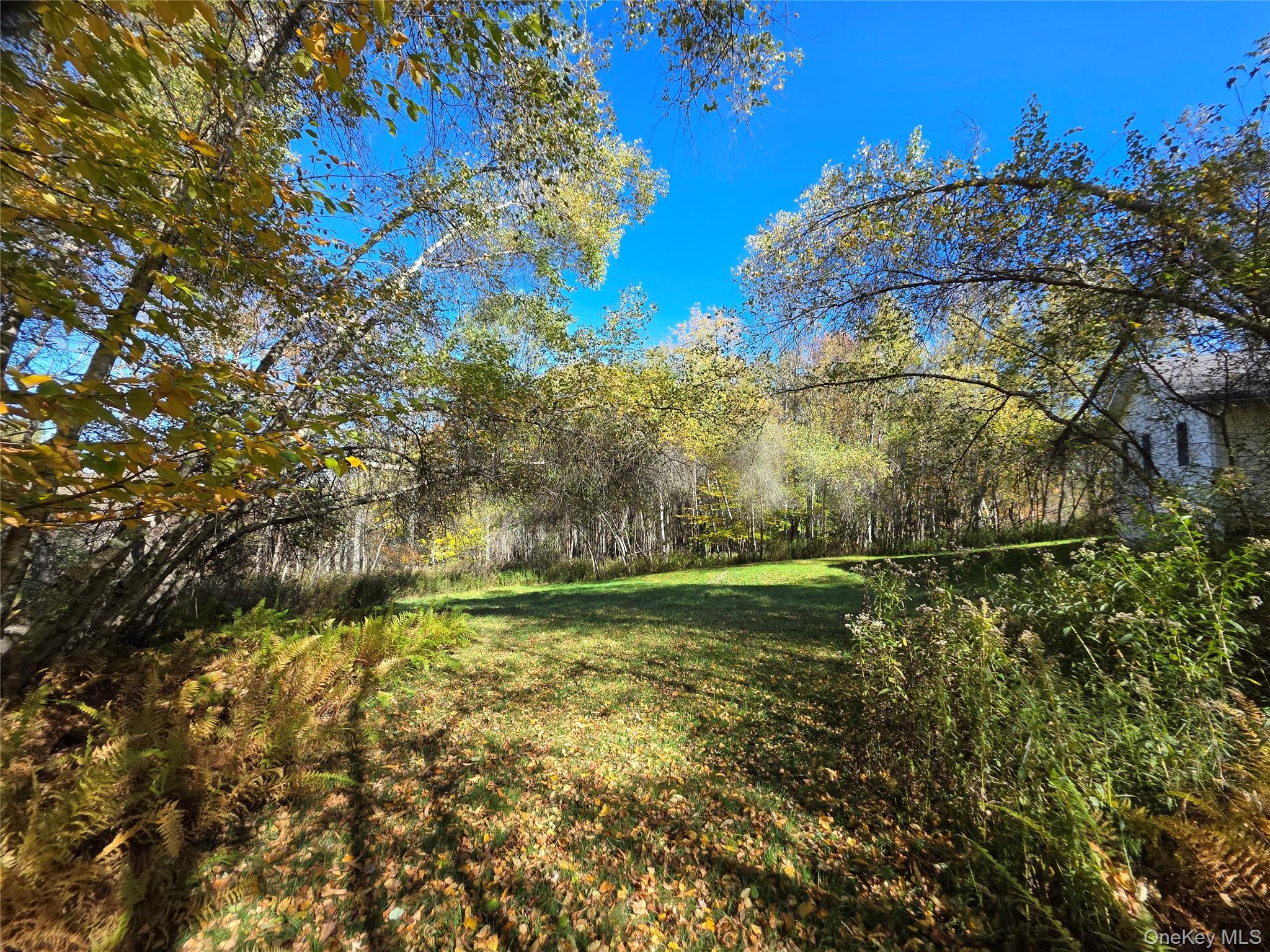 204-214 Okeefe Hill Road – For Sale photo 15