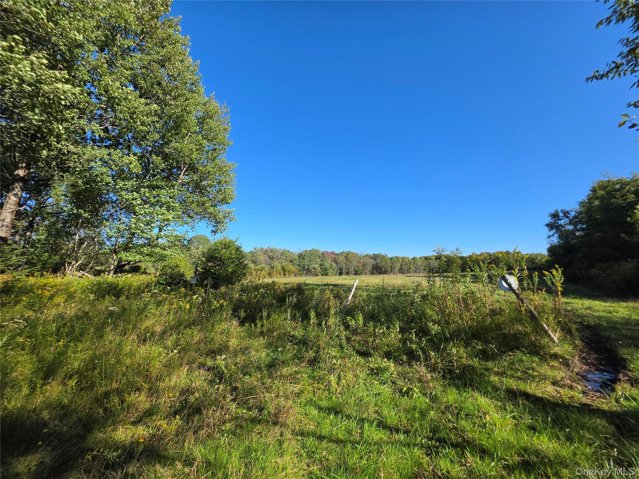 TBD Lily Pond Road – For Sale photo 3