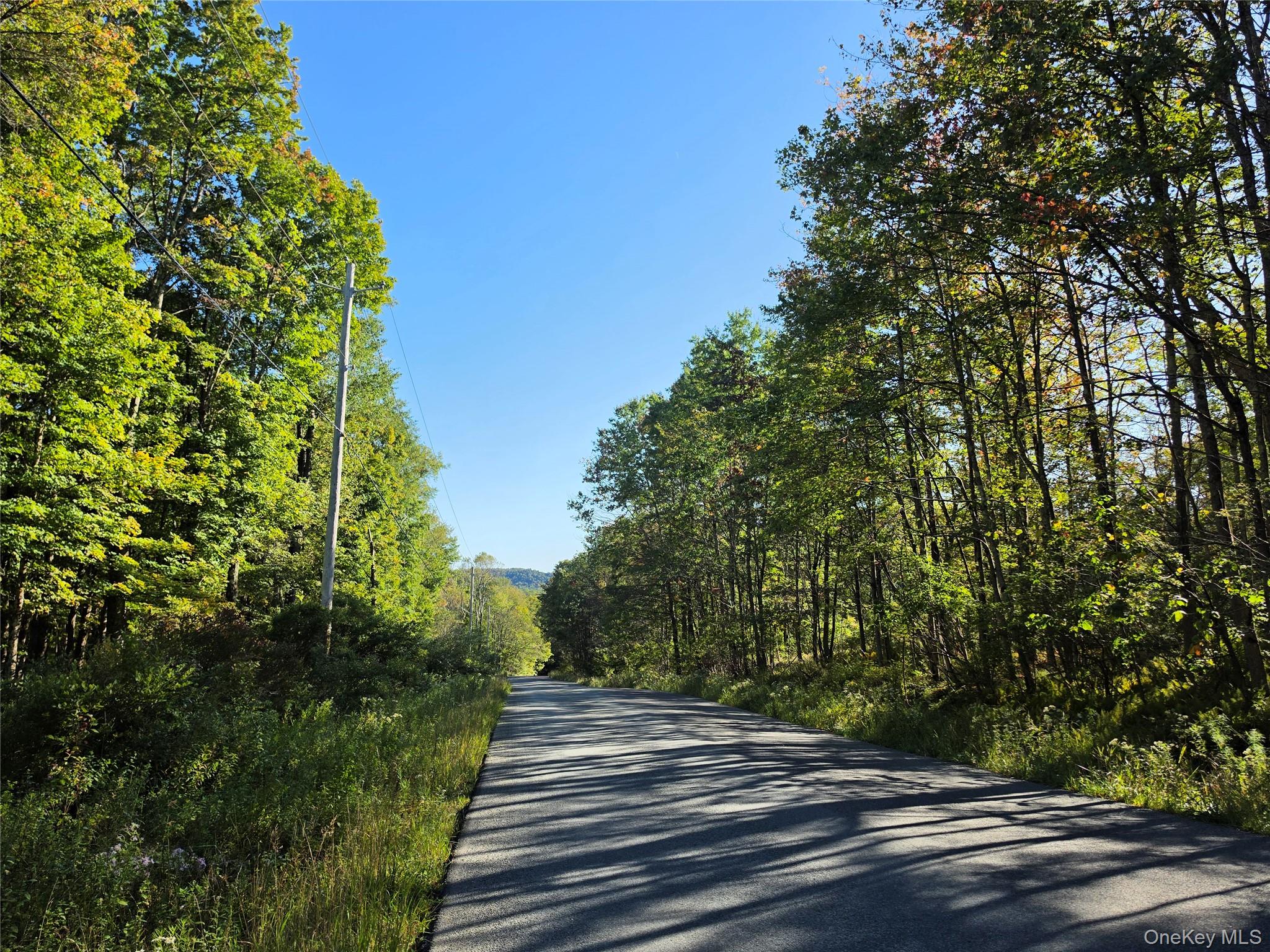 TBD Lily Pond Road – For Sale photo 28