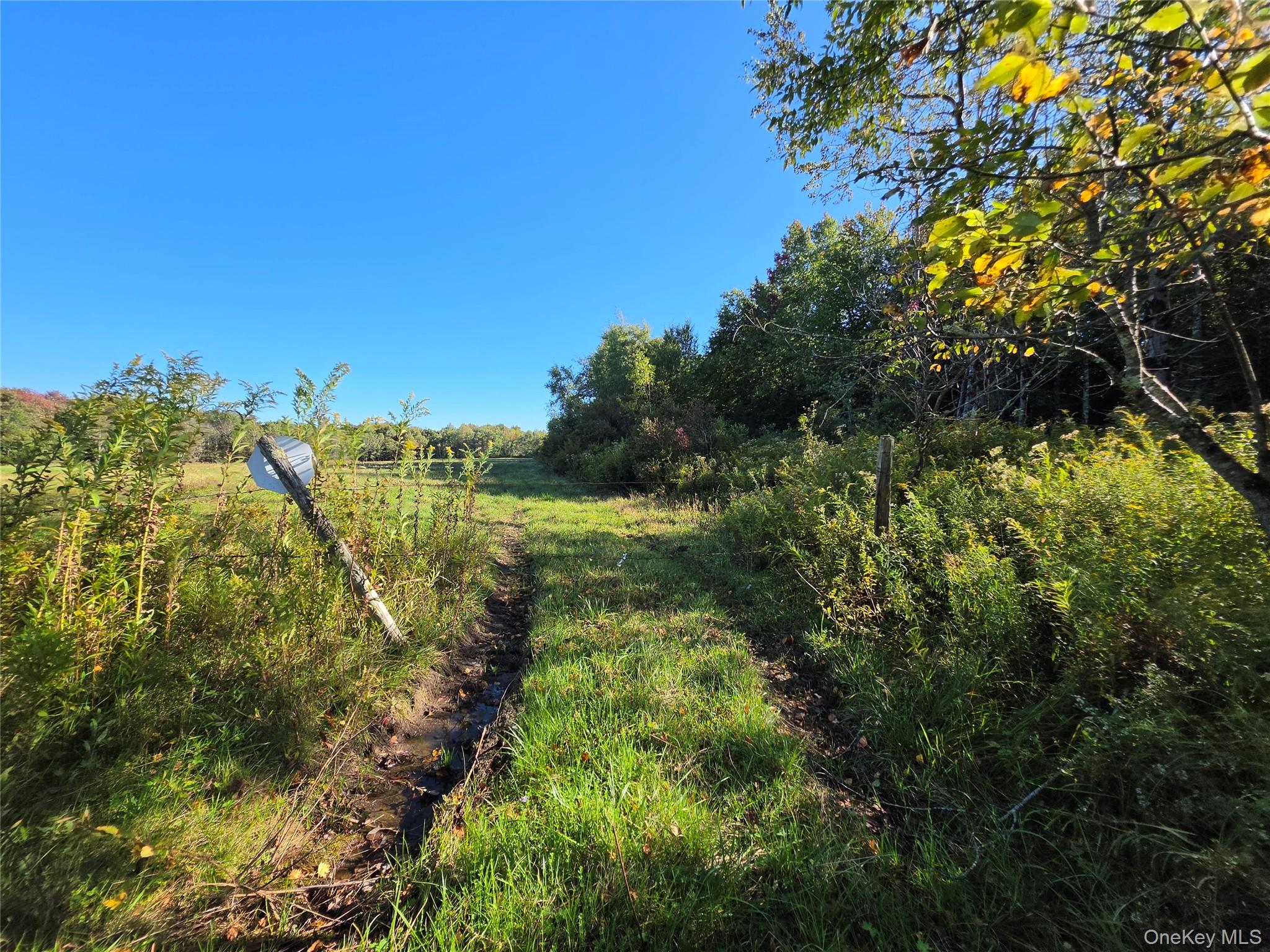 TBD Lily Pond Road – For Sale photo 18