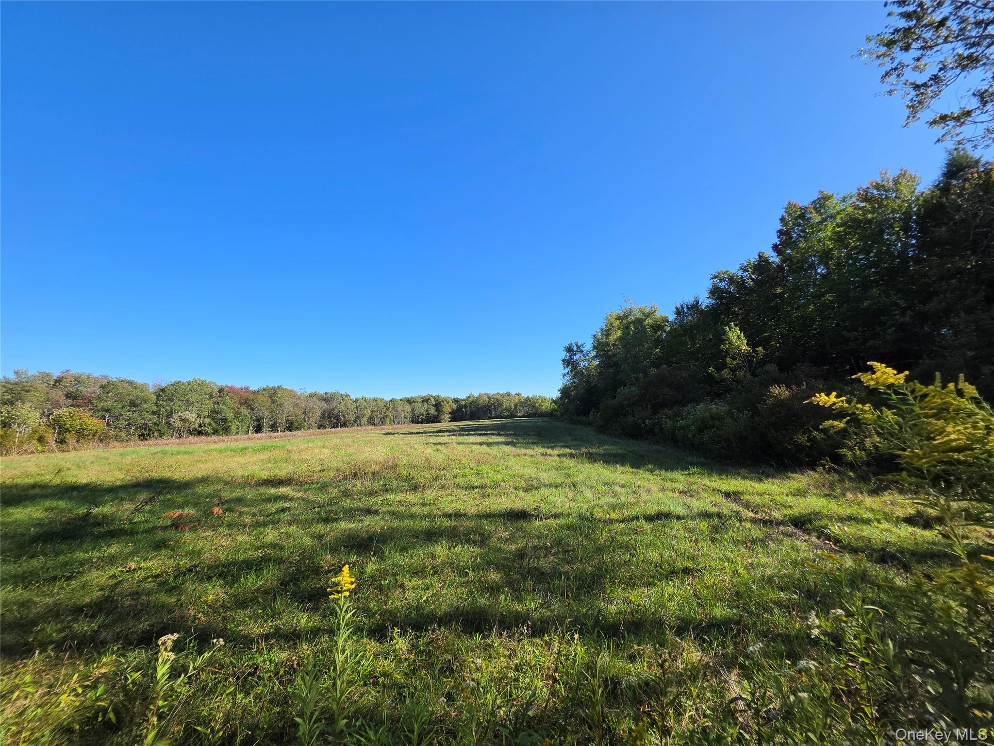 TBD Lily Pond Road – For Sale photo 4