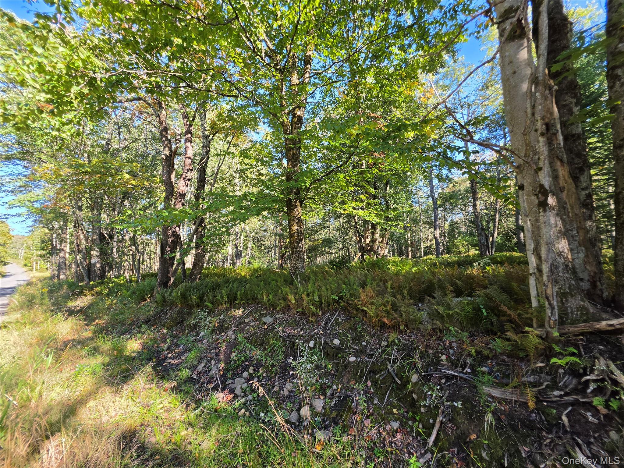 TBD Lily Pond Road – For Sale photo 23