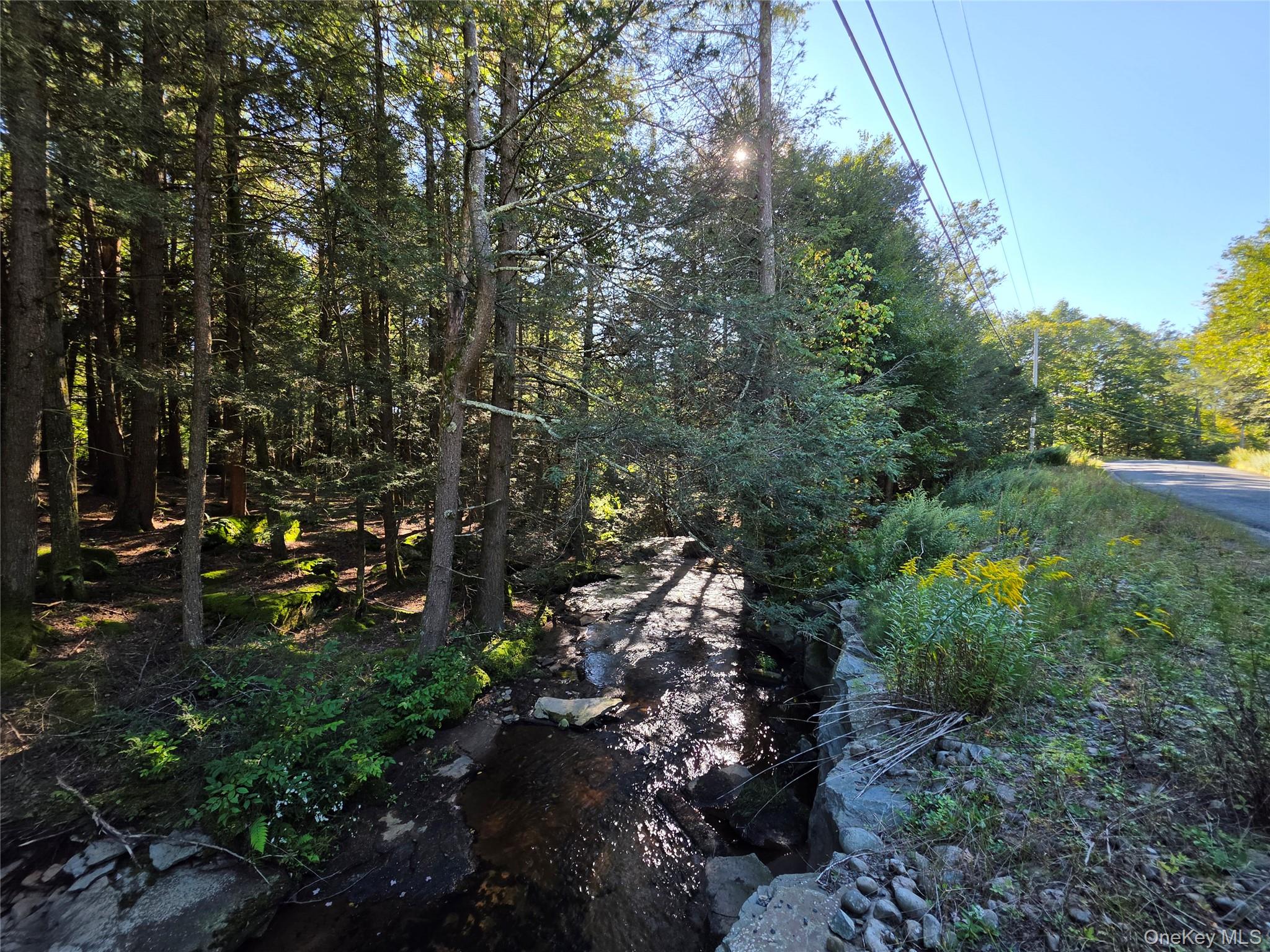 TBD Lily Pond Road – For Sale photo 7