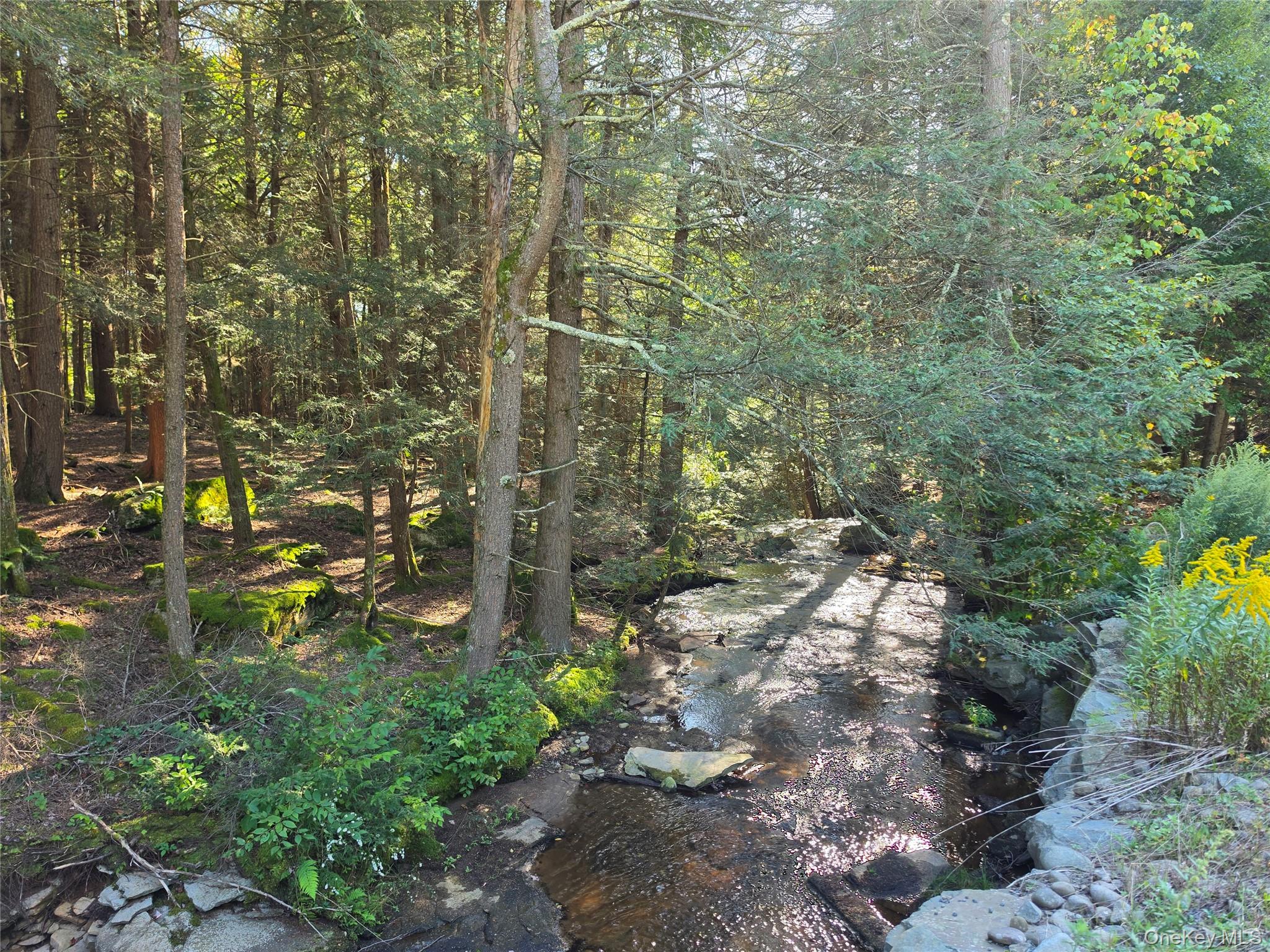 TBD Lily Pond Road – For Sale